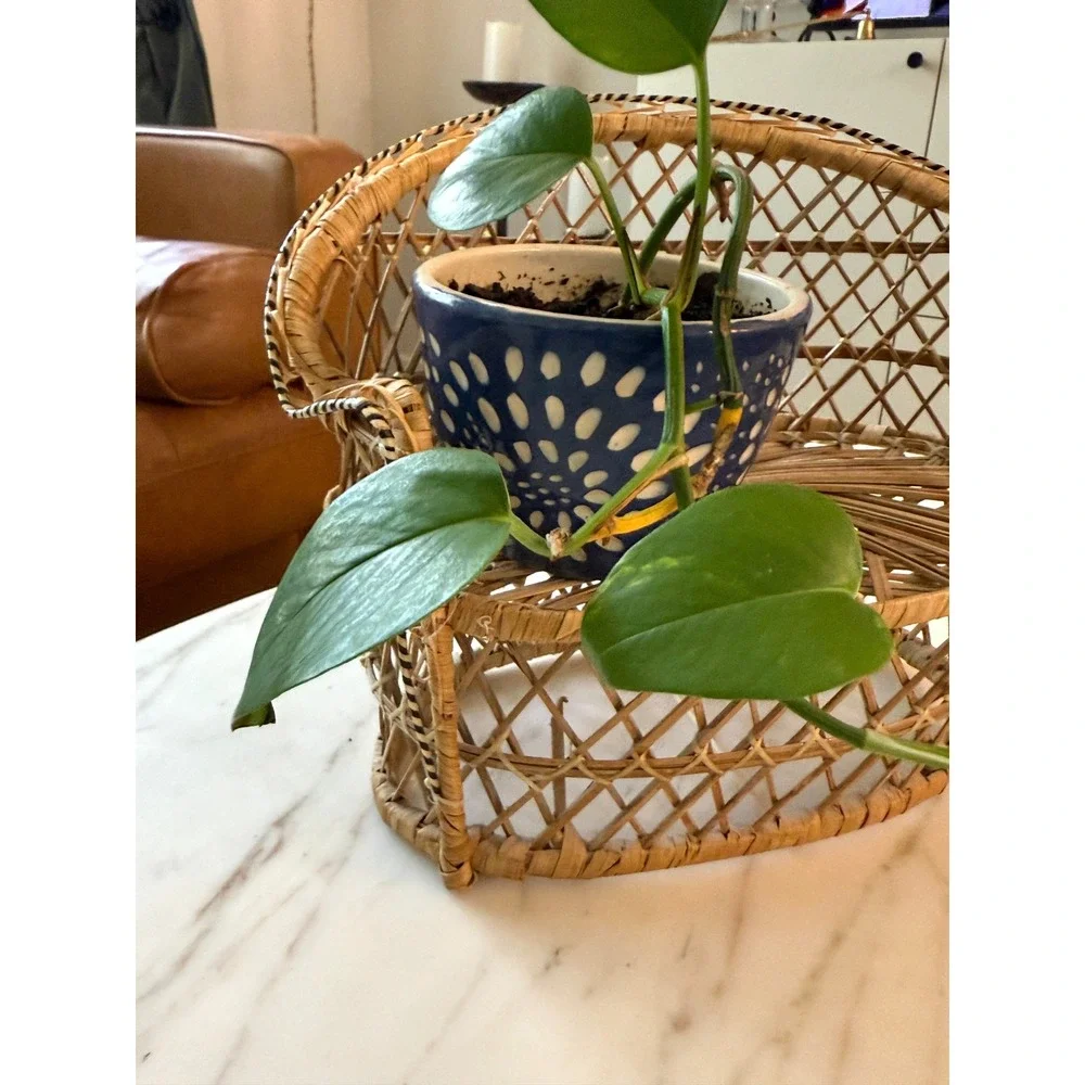 Vintage Boho Wicker Rattan Plant Basket Cachepot Planter Holder